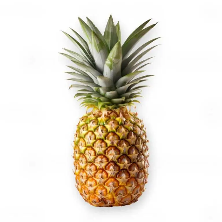YB_Pineapple