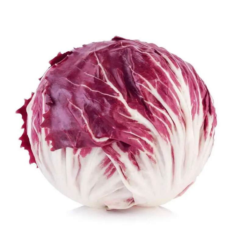YB_Produce_Radicchio