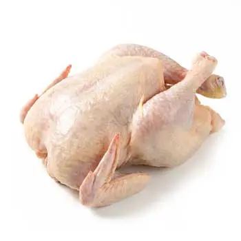 Poultry