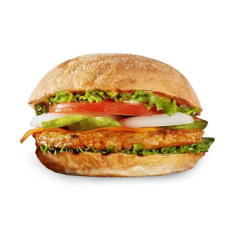 YB_Vegetarian_garden-burger